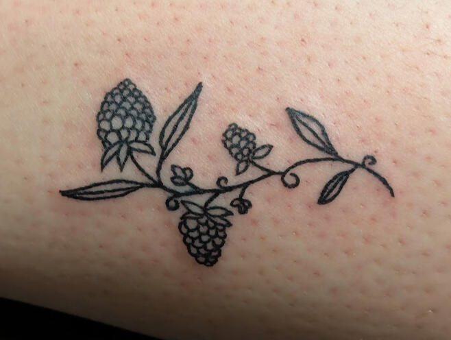 Berries Fresh